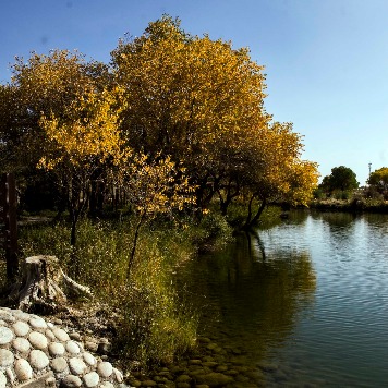 Xinjiang Uygur autonomous region: Jinhuyang National Forest Park