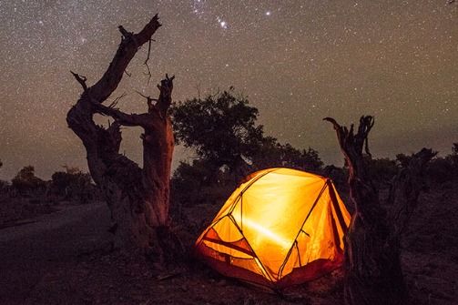 Xinjiang photo contest puts lens on picture-perfect scenery