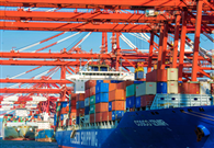 China upbeat about 2019 foreign trade growth: MOC