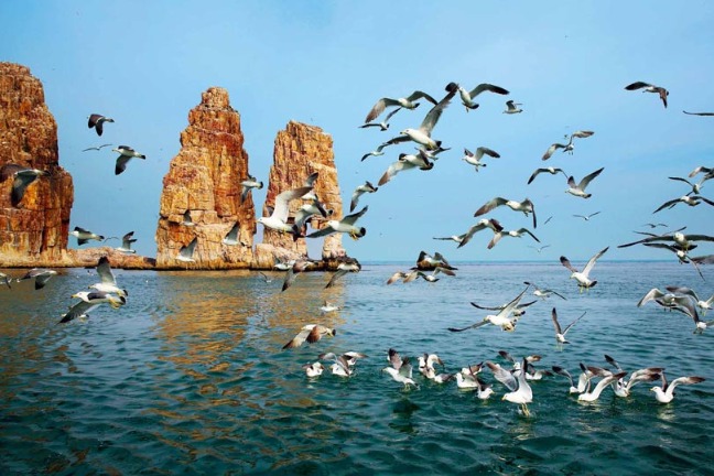 Chinese provinces, municipalities jointly promote tourism in Singapore