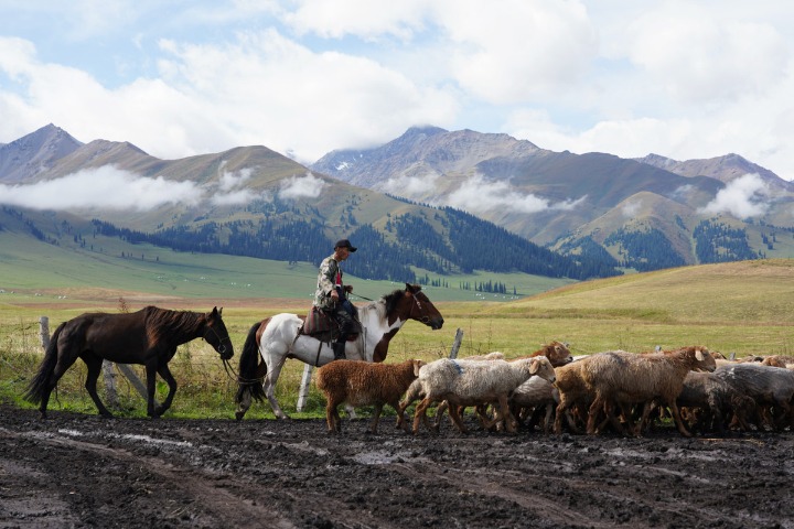Xinjiang puts first development zone environmental regulation into effect