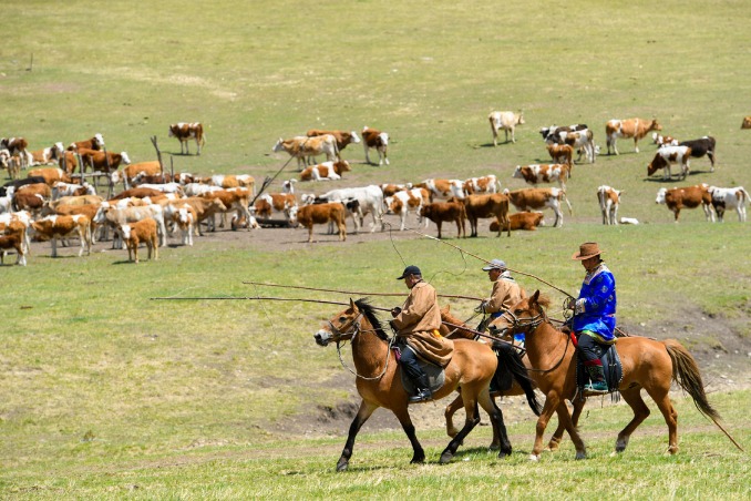 Grassland revived after herders stop grazing
