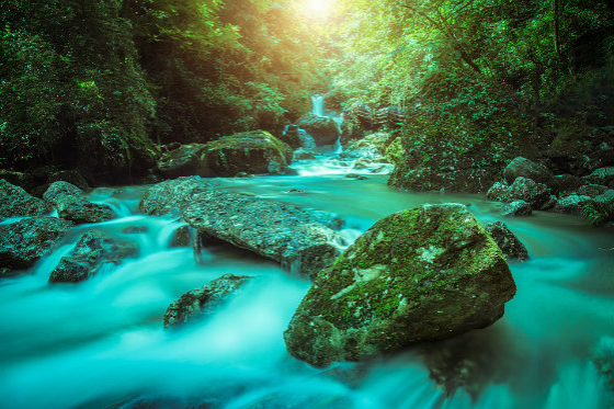 Pandas, opera, and huge stone Buddha: Discover Chengdu in 3 days