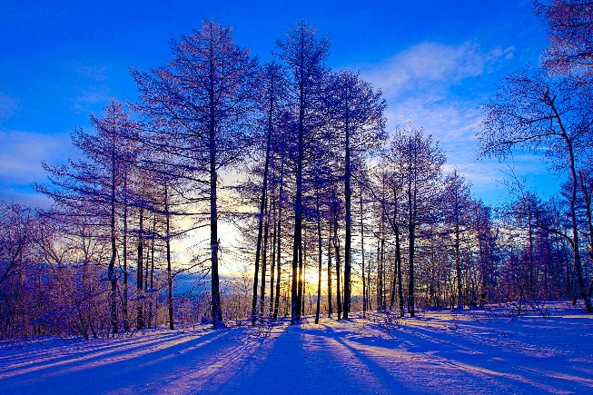 Snowfall turns Inner Mongolia into wonderland
