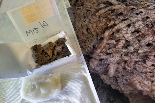 Remains of earliest silk fabric found in Henan