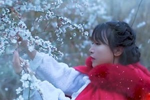 Young vlogger tells story of China in picturesque videos