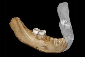 Baishiya Karst Cave one of top 10 archeological finds in 2019