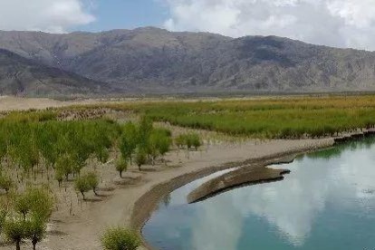 Tibet continues to reinforce reforestation in 2019