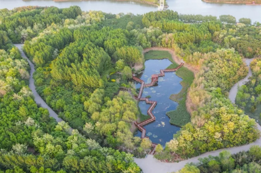 Tianjin’s Binhai in photos