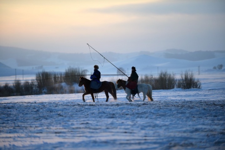 Photography festival themed on horse culture opens in Inner Mongolia