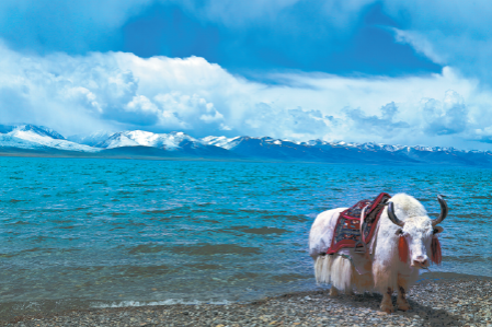 Lhasa to see during winter