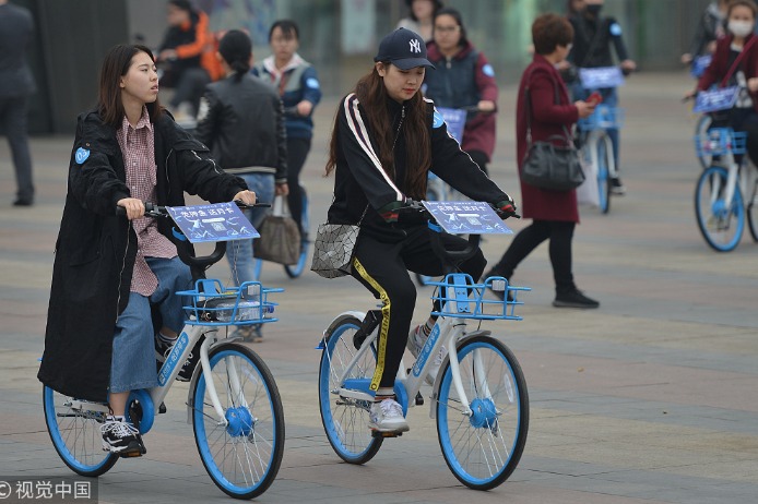 Survey sheds light on household carbon consumption