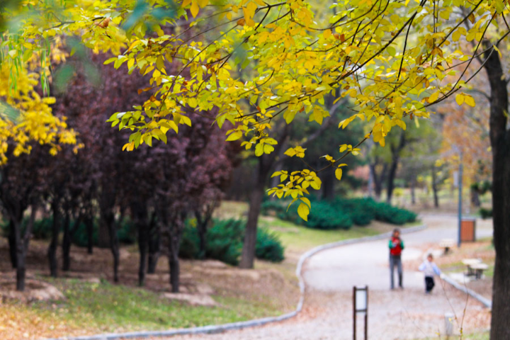 Beijing Olympic Park