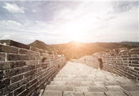 Reaping a holiday harvest