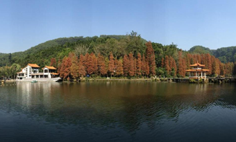 Fairylake Botanical Garden