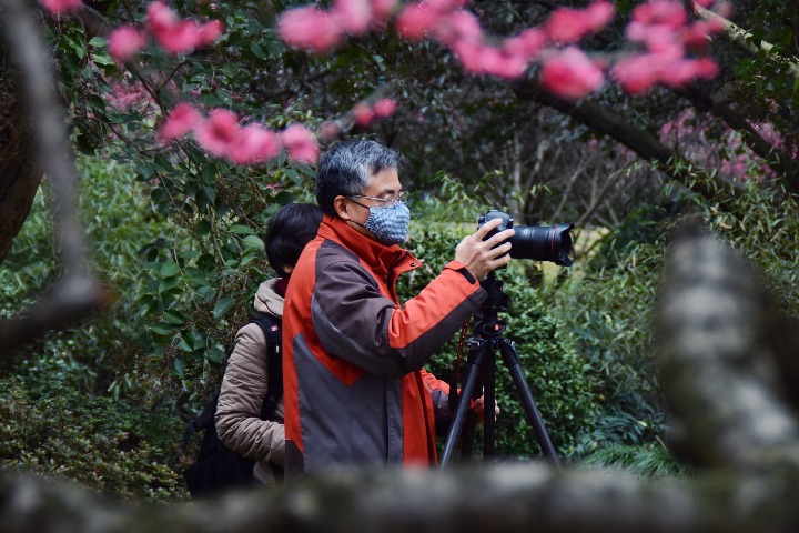 Multiple scenic spots reopen as epidemic shows signs of improvement