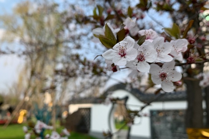 China beefs up scenic area management amid coronavirus epidemic