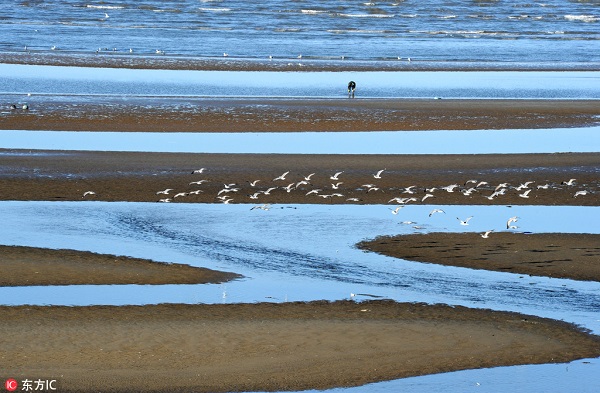 Recommended seaside resorts in the downtown of Dalian