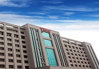 Dalian Top-Eastern Group