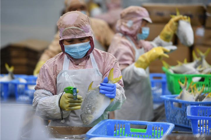 Full steam ahead for trade in Hainan