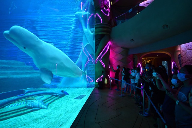 Sanya becoming case study for tourist cities in business recovery