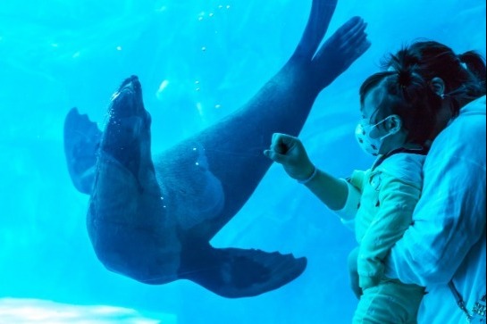 Report shows revival of domestic travel during Tomb Sweeping Day holiday