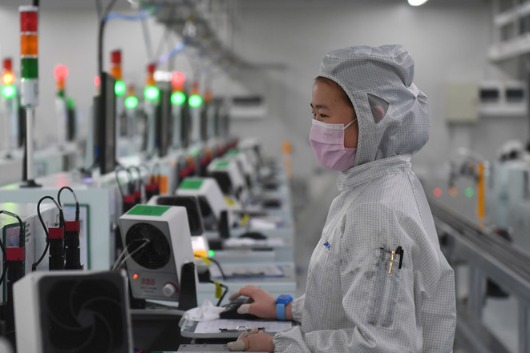 Domestic investments set to sustain growth