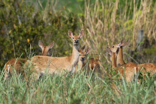 Enjoy outdoor scenery amid anti-virus measures