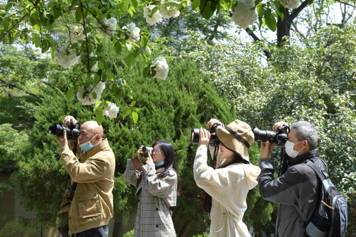 China’s tourism industry gradually back on track
