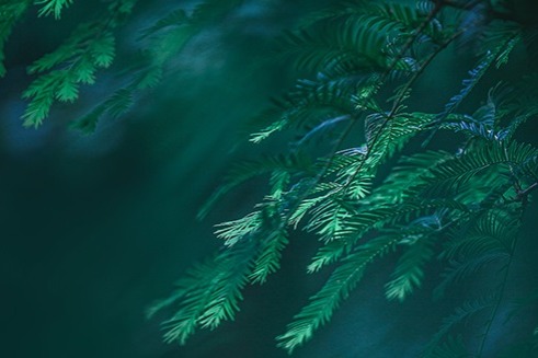 Key points of psychological crisis intervention for different populations during COVID-19