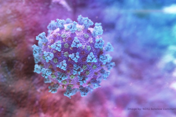 Does COVID-19 affect immune system?