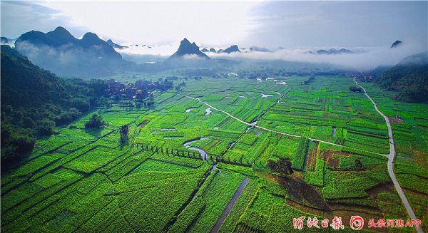Spring plowing in Yizhou creates a poetic picture