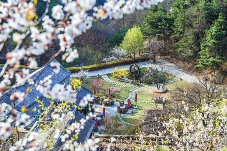 Scenic spots, hotels and restaurants reopen in Beijing's Miyun