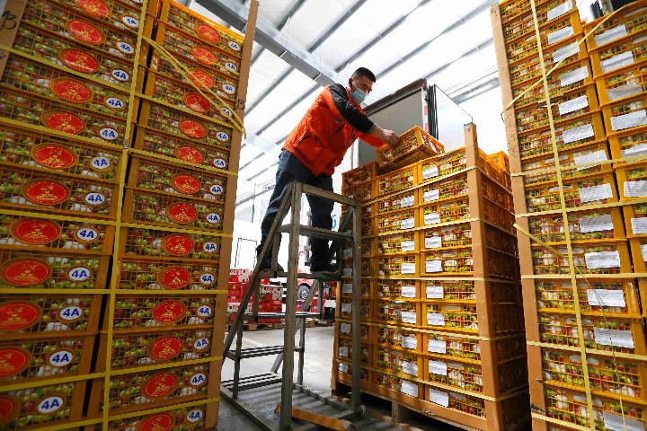 China-ASEAN trade to blossom in hard times