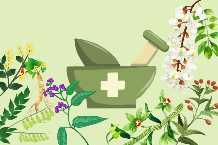 Understanding TCM and its role in fighting COVID-19