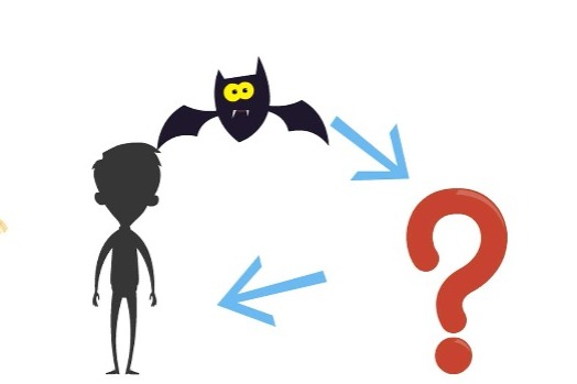 Animation: Where is the patient zero of COVID-19?