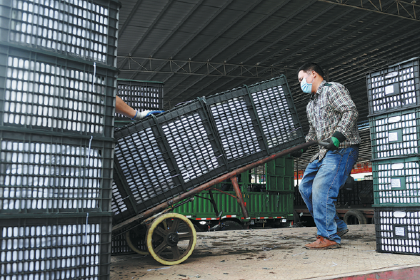 Expert: China to lead U-shaped recovery of regional economy