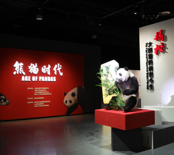 Age of Pandas: The Past and Present of Giant Pandas
