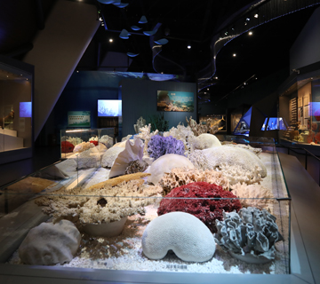 Permanent exhibitions of the National Maritime Museum of China