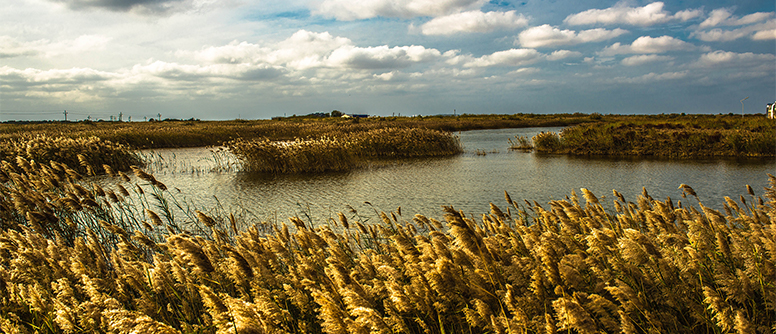 The Yellow River Estuary Ecological Scenic Area, Shandong province