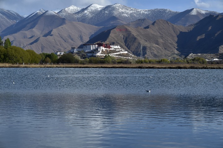 China's Potala Palace to reopen