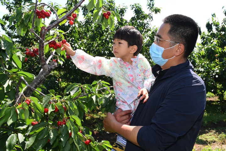 Beijing's major parks further limit visitors