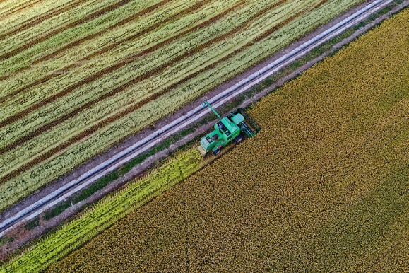 A look at China's October economic data