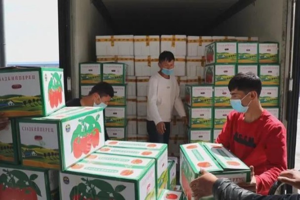 Xinjiang border port pushes efficiency