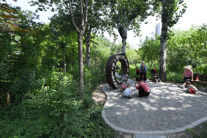 Oasis is a breath of fresh air in city center