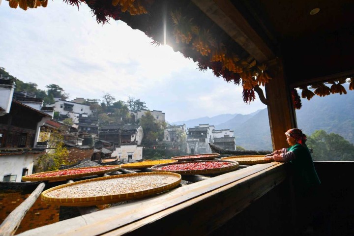 China's rural tourism rapidly recovering