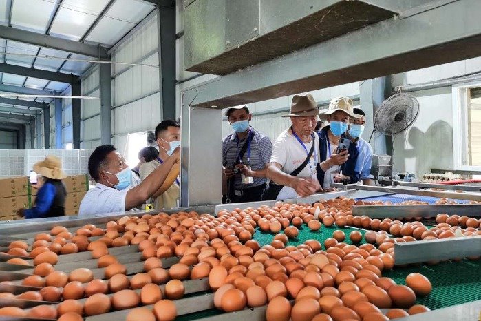 In Wuhan, rural Tibetans trained in animal breeding