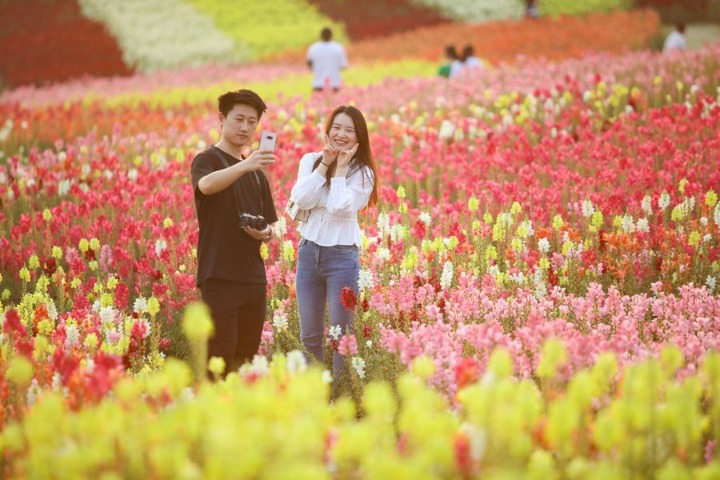 Over 40% of Chinese people choose to stay home during upcoming national holiday