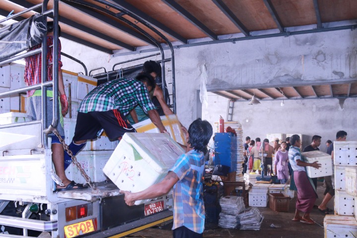 FTZs propel quality development in border areas