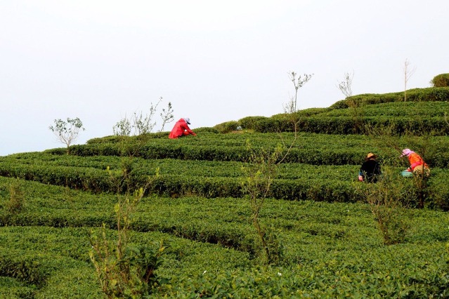 Farmers take road out of poverty in Fujian village